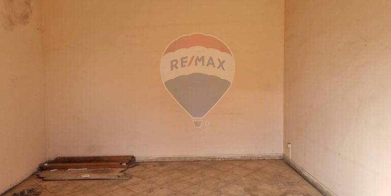 20250306105154-934251-7