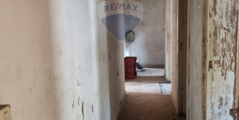 20250306105209-934251-11