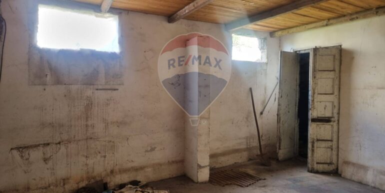 20250306105211-934251-12