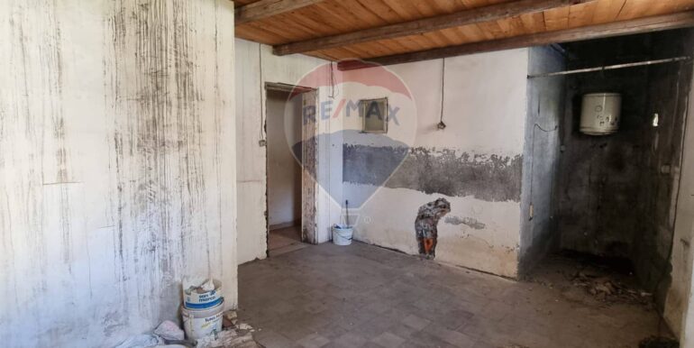 20250306105223-934251-15