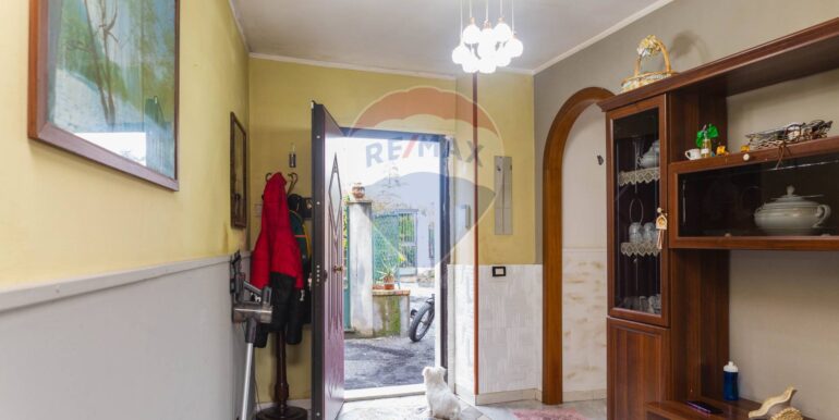 20250307202529-934772-9