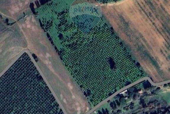 20250308104042-934781-1