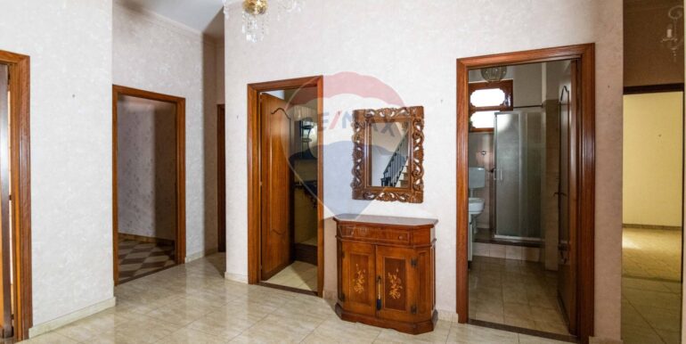 20250312105017-932799-3