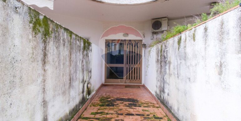 20250313184934-929657-14