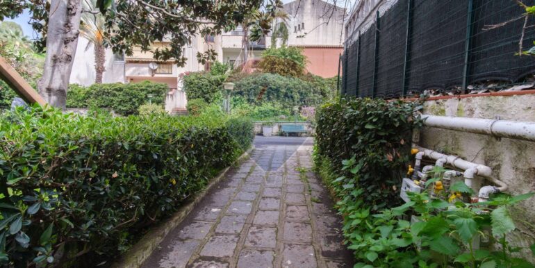 20250313184938-929657-15