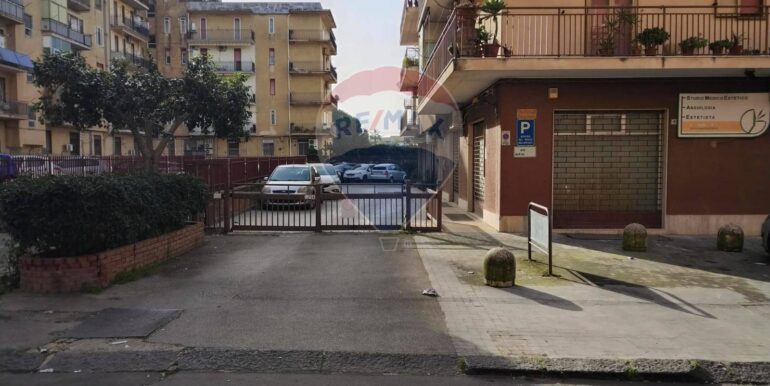 20250314110523-933902-21