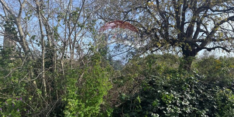 20250315103605-936538-0