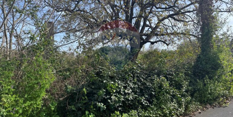 20250315103606-936538-1