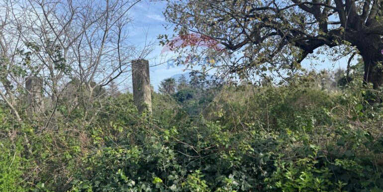 20250315103607-936538-3