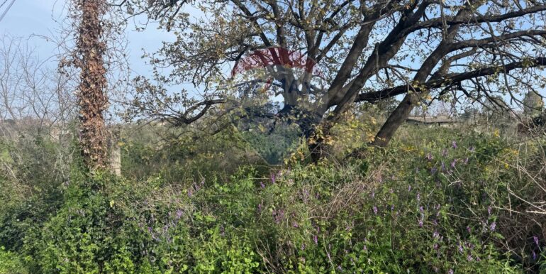 20250315103607-936538-4