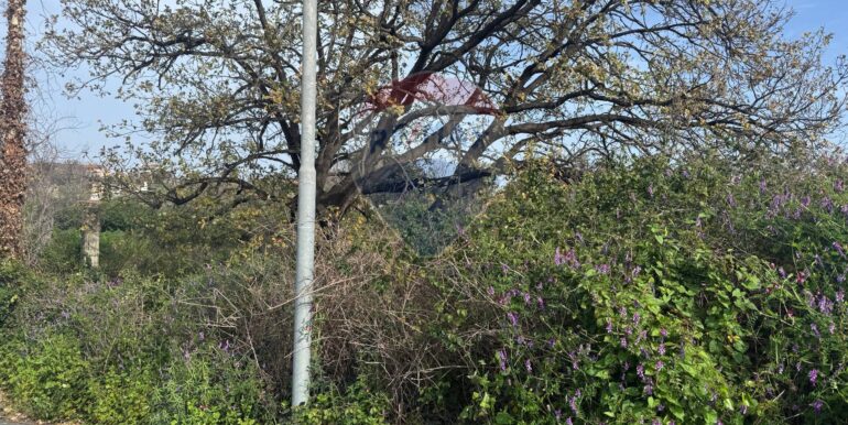 20250315103609-936538-6