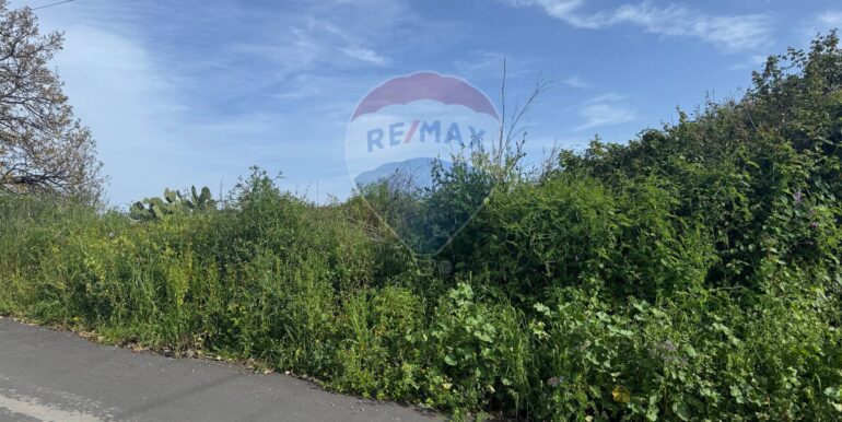 20250315103609-936538-7