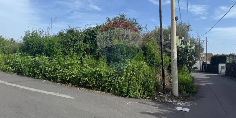 20250315103610-936538-10