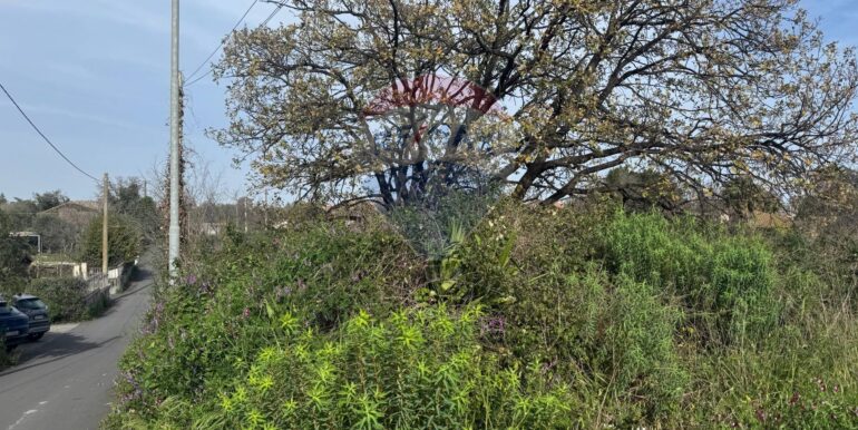 20250315103612-936538-14