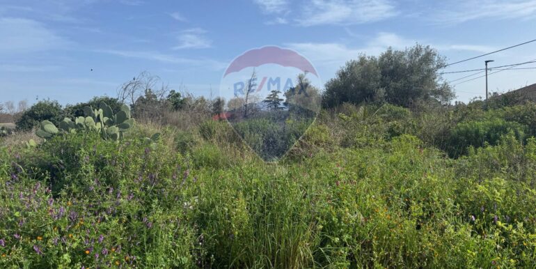 20250315103613-936538-15