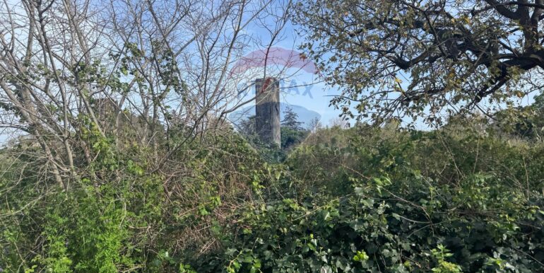 20250315103930-936539-2