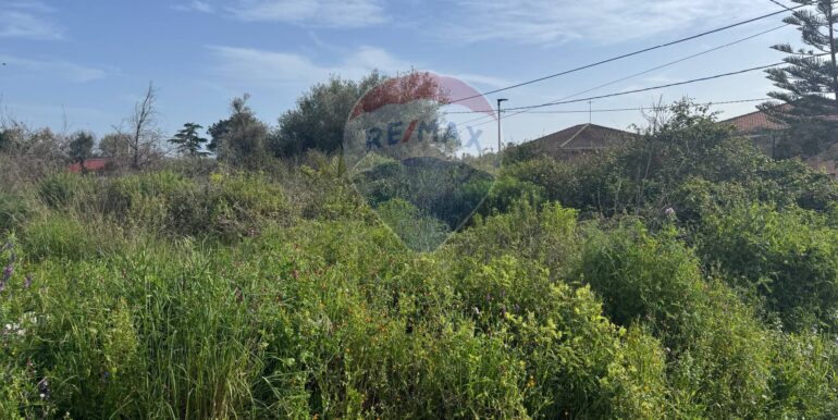 20250315103933-936539-11