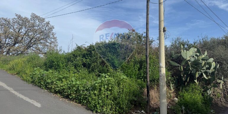 20250315103933-936539-8