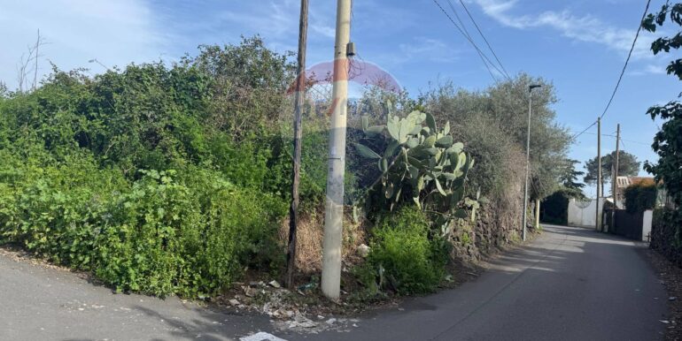 20250315103933-936539-9