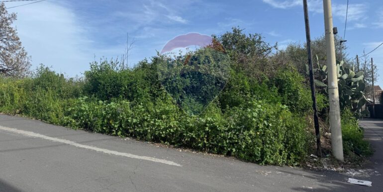 20250315103934-936539-12