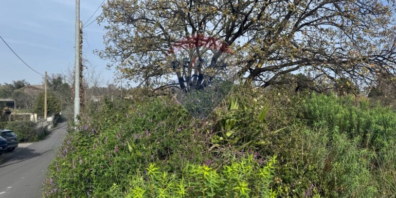 20250315103934-936539-13