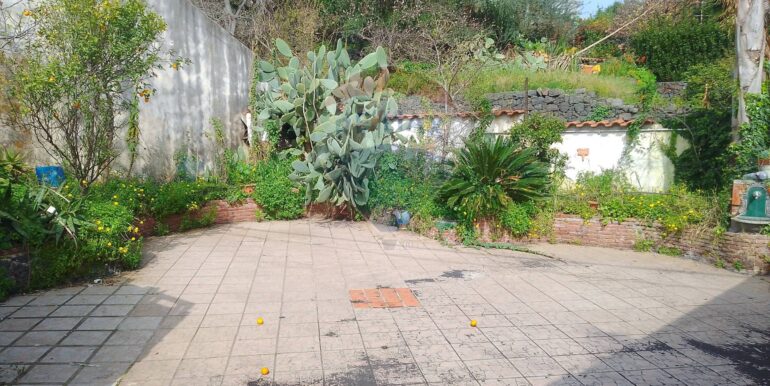 20250317113532-936482-1