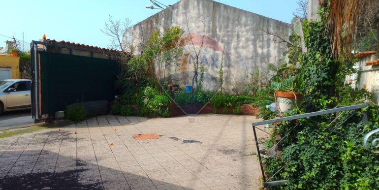 20250317113539-936482-3