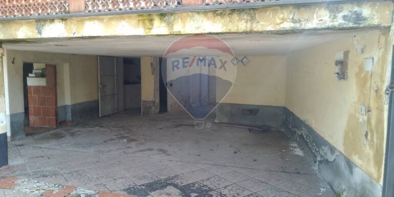 20250317113554-936482-9