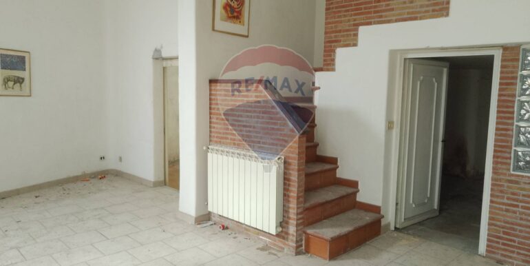 20250317113557-936482-10