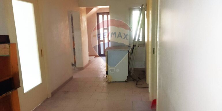 20250317113559-936482-11