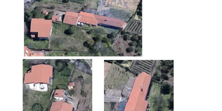 20250317223856-936884-1