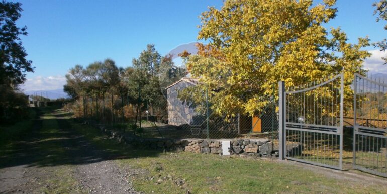 20250319131256-937570-1