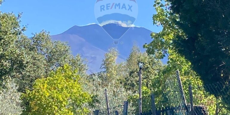 20250320115306-937570-9