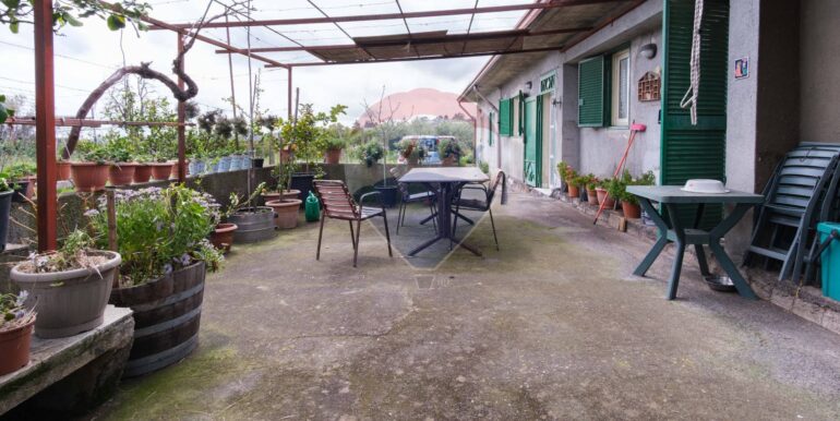 20250324125556-936884-11