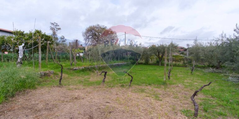 20250324125700-936884-35