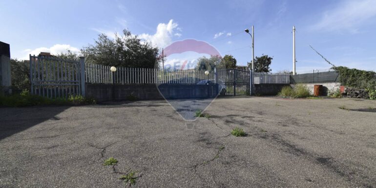 20250331110606-939818-6