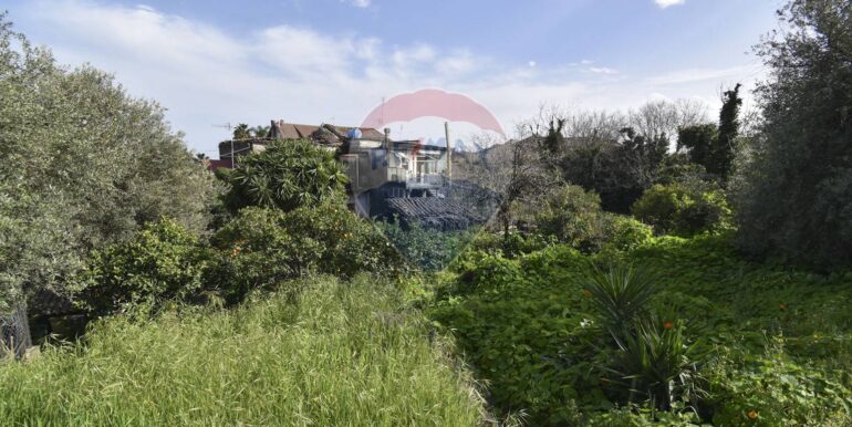 20250331110611-939818-8