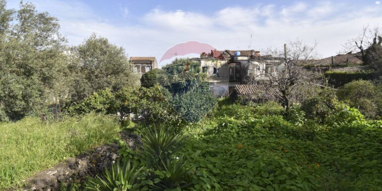 20250331110613-939818-9