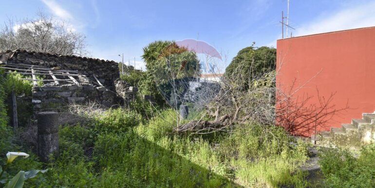 20250331110619-939818-13