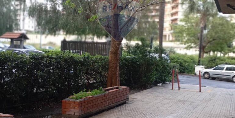 20250331165121-939935-7