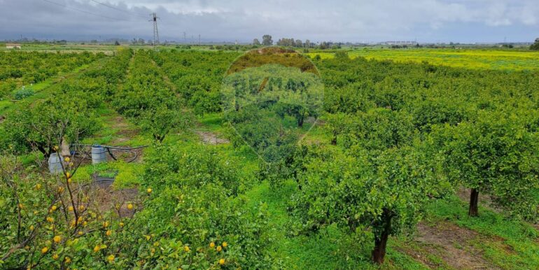 20250401124118-939100-2