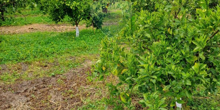 20250401124120-939100-3