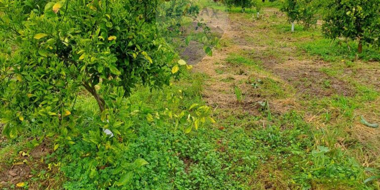 20250401124126-939100-5