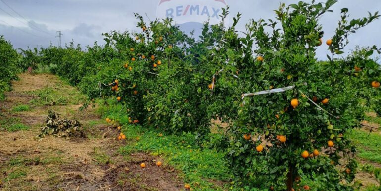 20250401124131-939100-7