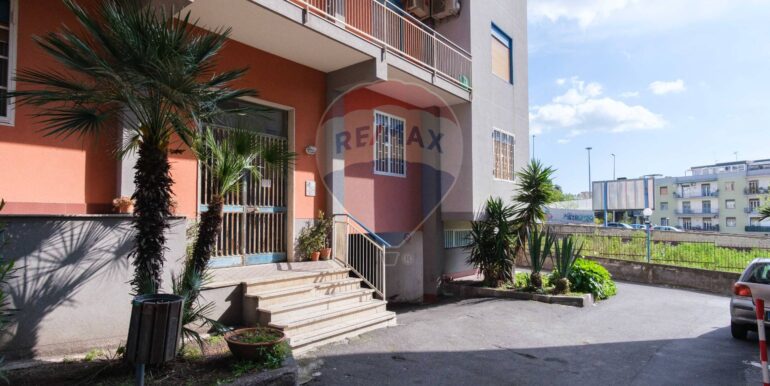 20250409113149-905179-31