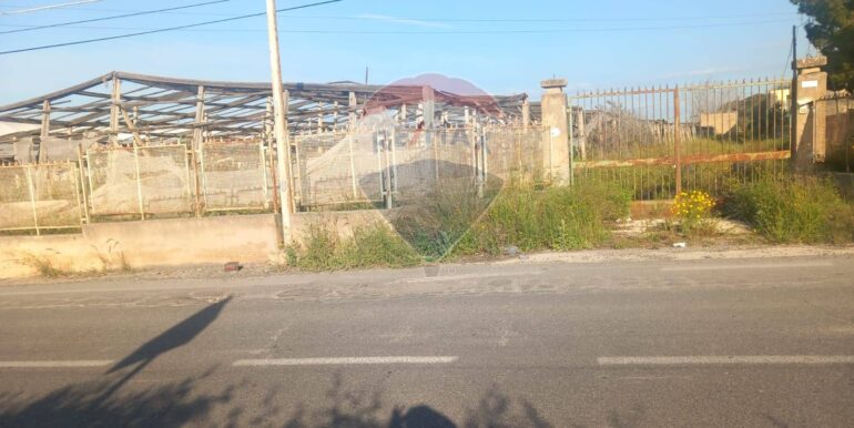 2025041092711-938648-2