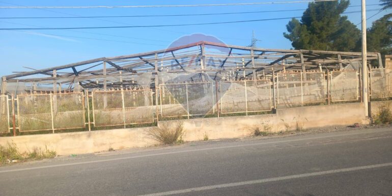 2025041092716-938648-6