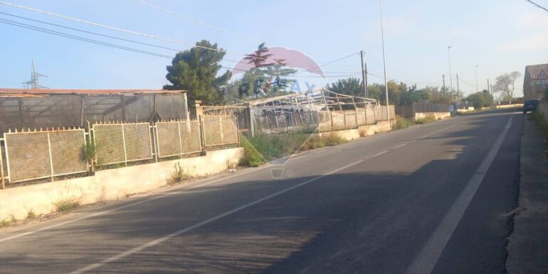 2025041092718-938648-7