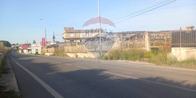 2025041092719-938648-8