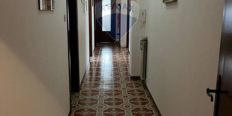 20250416162925-943864-24